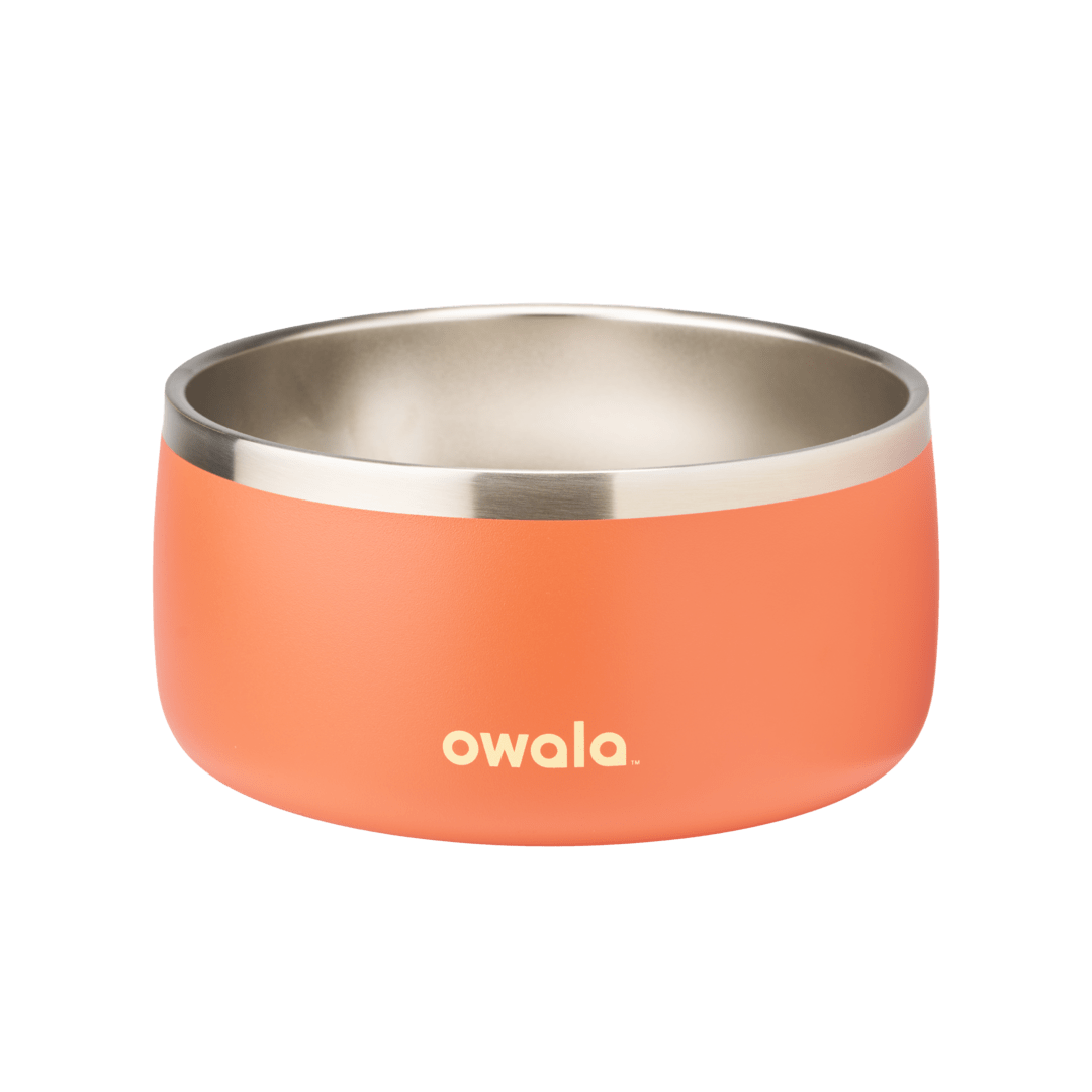 FreeSip + Pet Bowl Bundle
